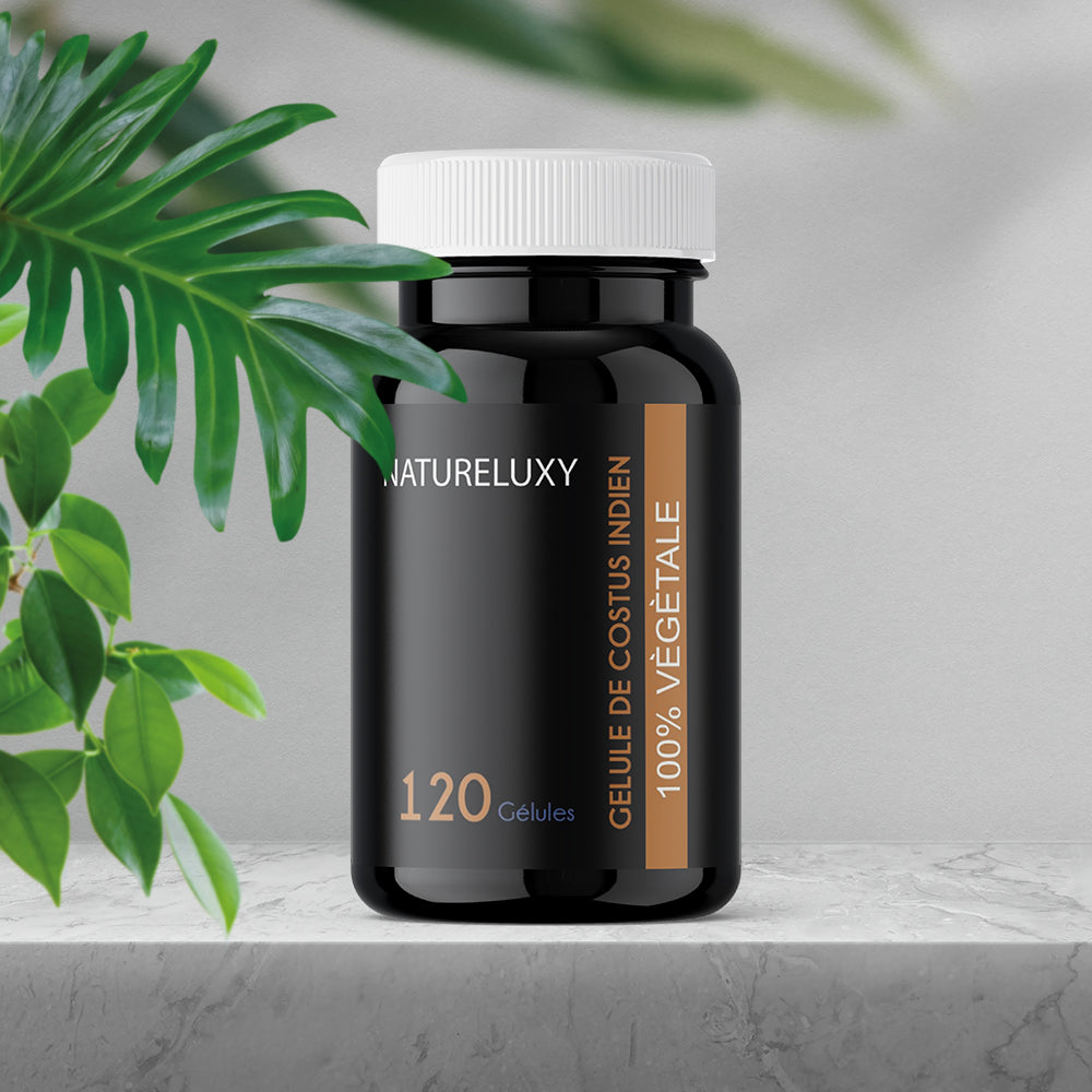 120 gélules Costus Indien – env. 300 mg par gélule – complément alimentaire