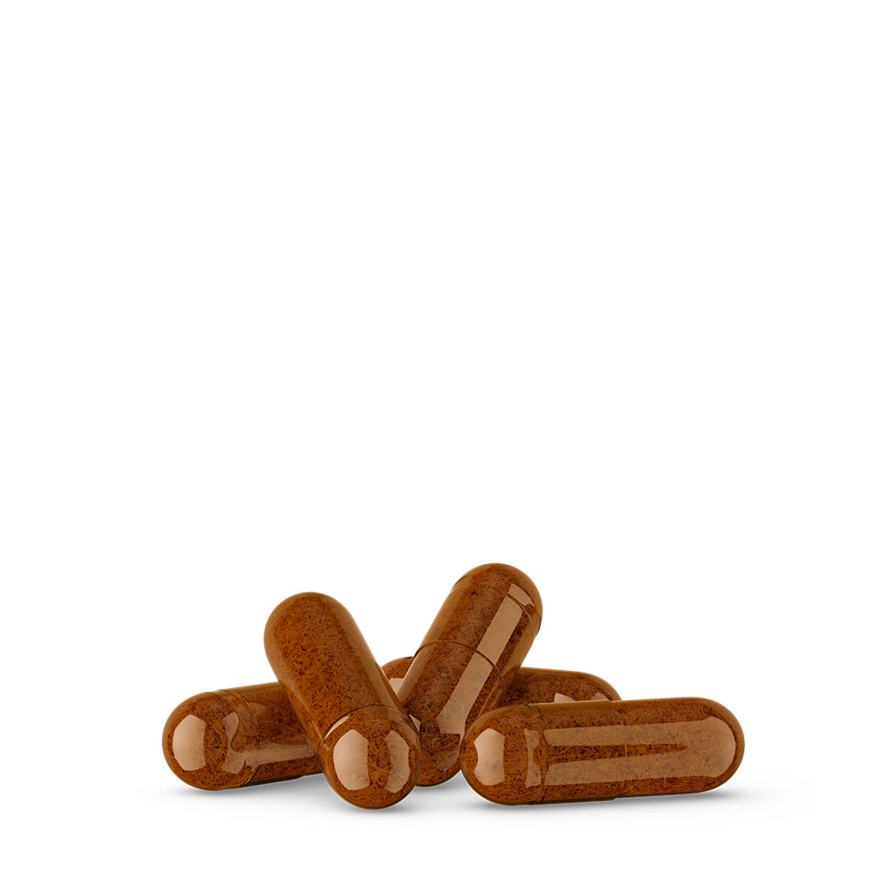 120 Gélules Costus Indien – Poudre de Saussurea costus – 300 mg