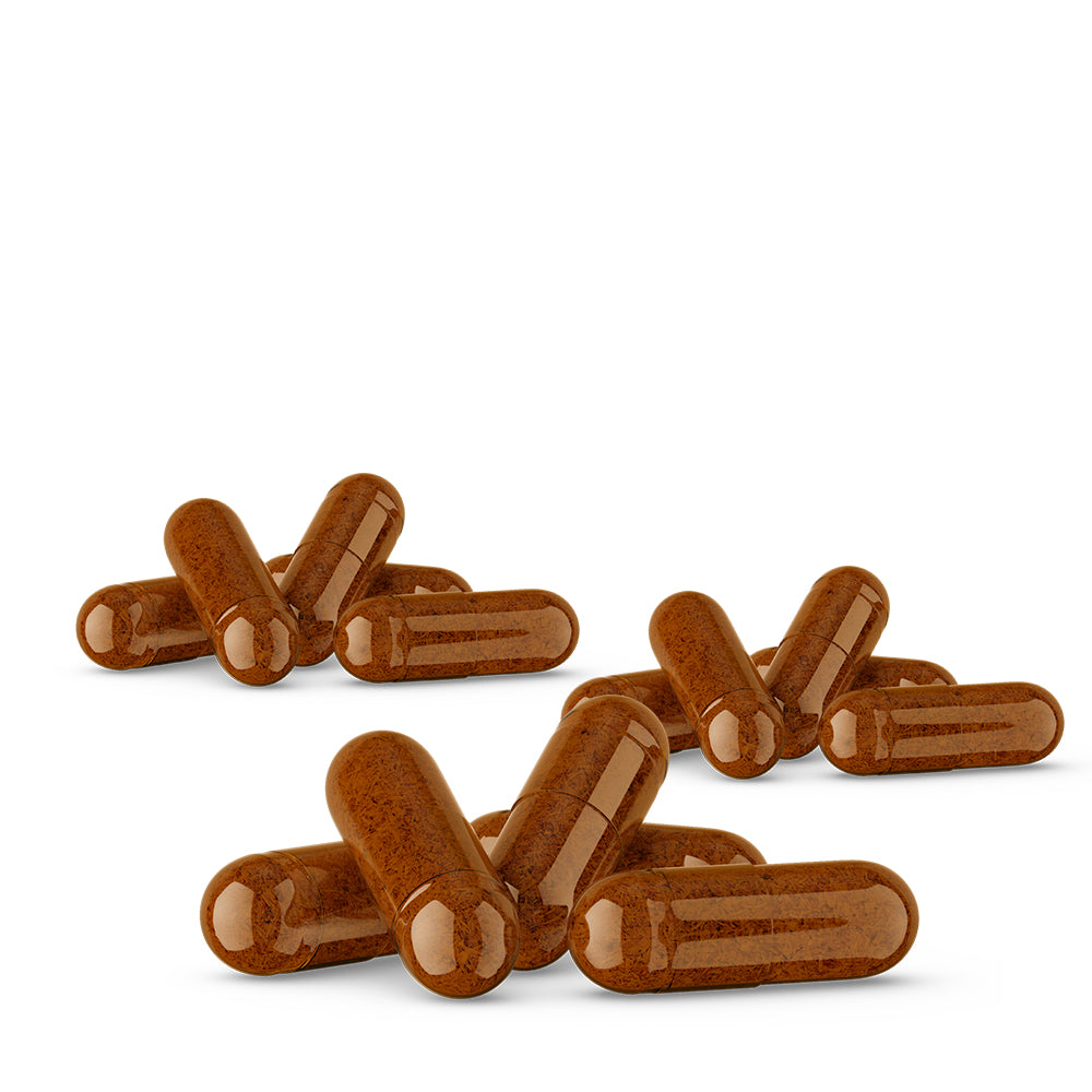 3x120 Gélules de Costus Indien - 360 Gélules - 300 mg