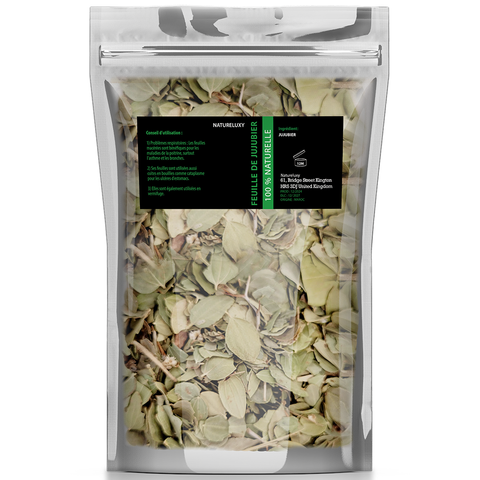 files/FEUILLE-JUJUBIER-NATURE-LUXY.png