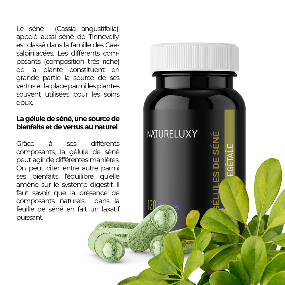 Séné (Cassia angustifolia) – 120 gélules – 300mg