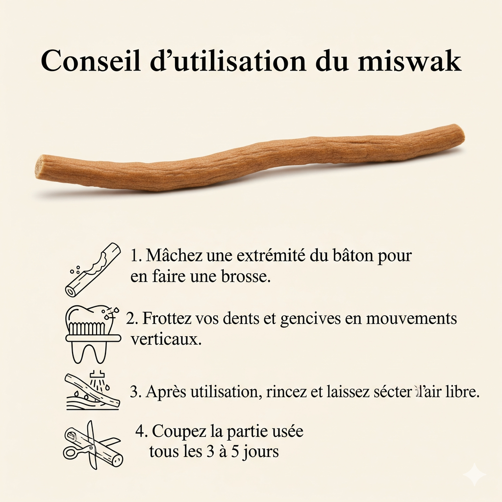 Lot de 20 Siwak Nature Brute en Vrac