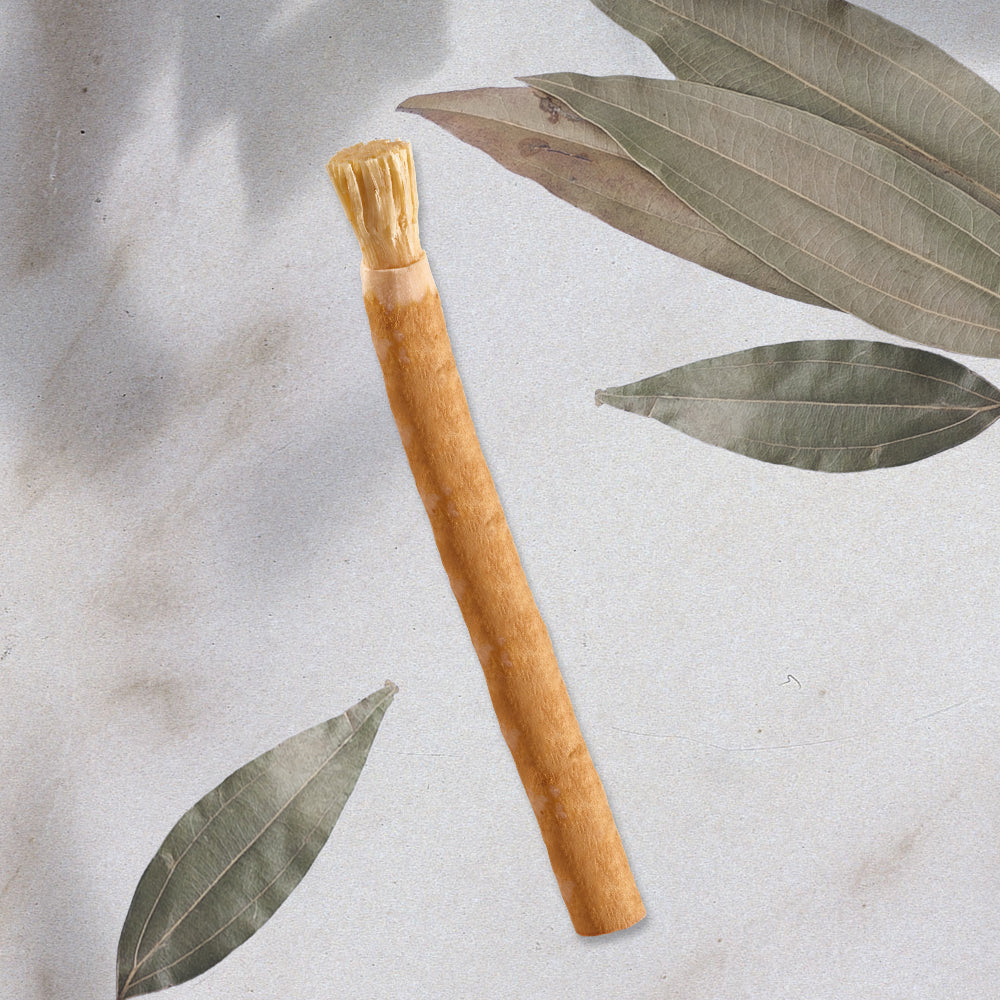 Lot de 20 Siwak Nature Brute en Vrac