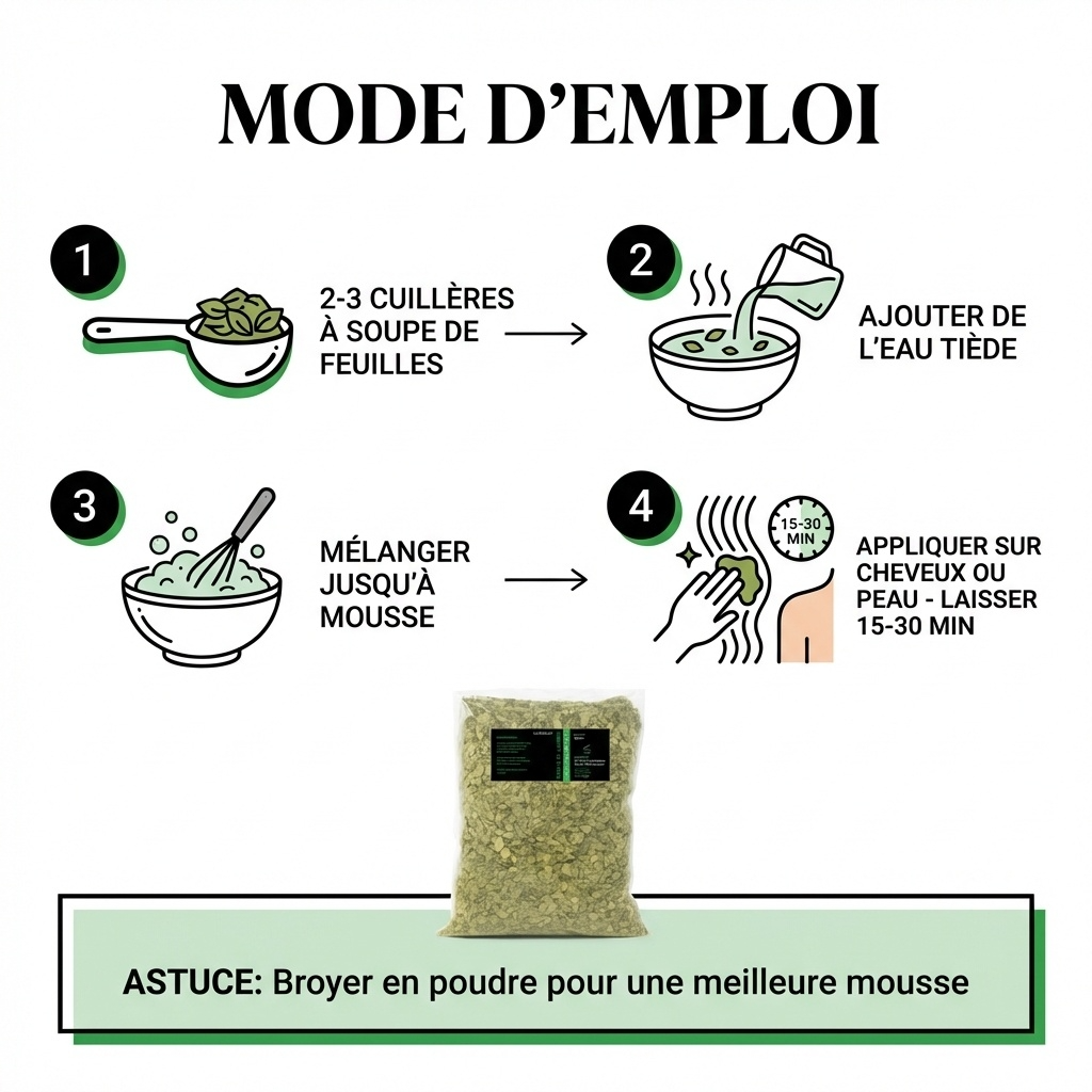 20Kg Feuille de Sidr (Jujubier) Naturelle