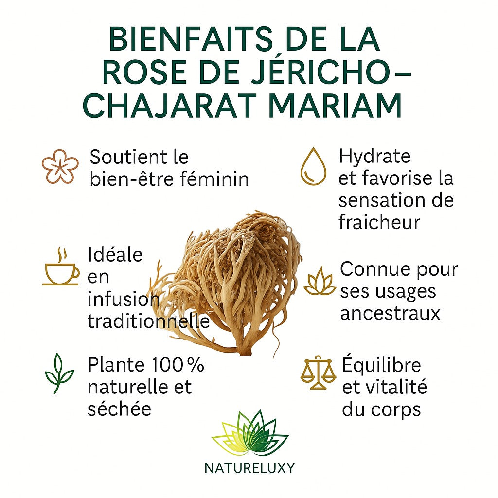 Chajarat Mariam (Rose de Jéricho) 50 g — Plante séchée pour infusion / décoction