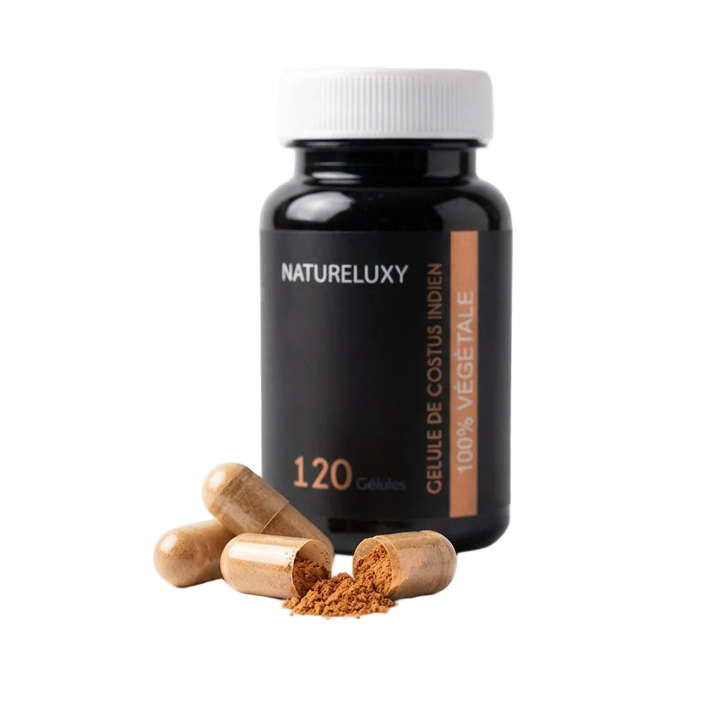 120 Gélules Costus Indien – Poudre de Saussurea costus – 300 mg