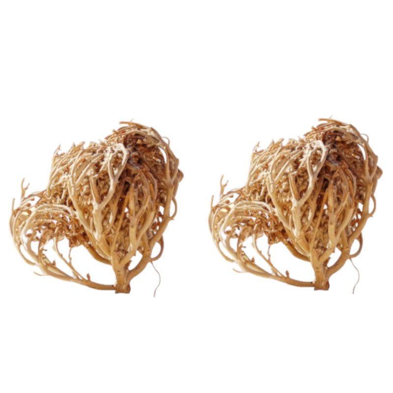 Chajarat Mariam (Rose de Jéricho) 50 g — Plante séchée pour infusion / décoction