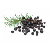 Graine de Genévrier à baie comestible 80g