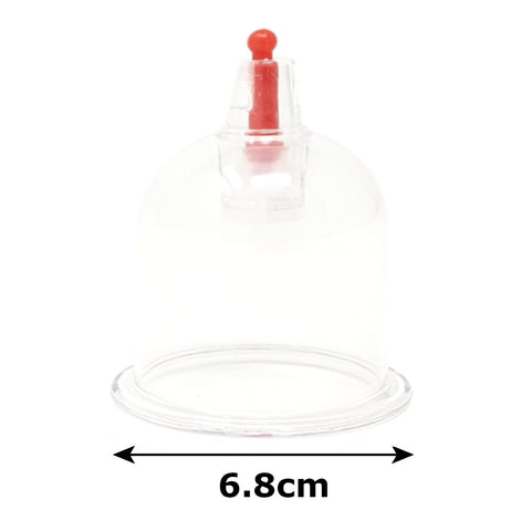 Lot de 100 Ventouses 6,8cm - Royal
