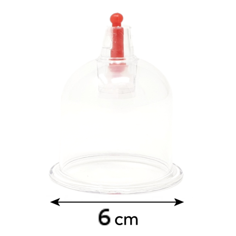 Lot de 100 Ventouses 6cm - Royal