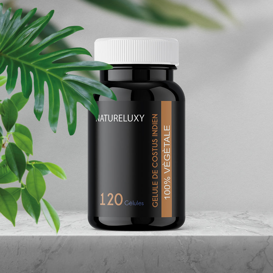 120 gélules Costus Indien  – env. 300 mg par gélule – complément alimentaire