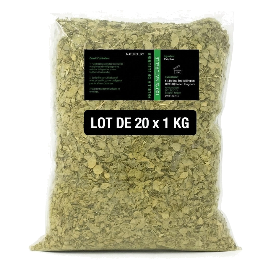 20Kg Feuille de Sidr (Jujubier) Naturelle – produit naturel présenté par Natureluxy
