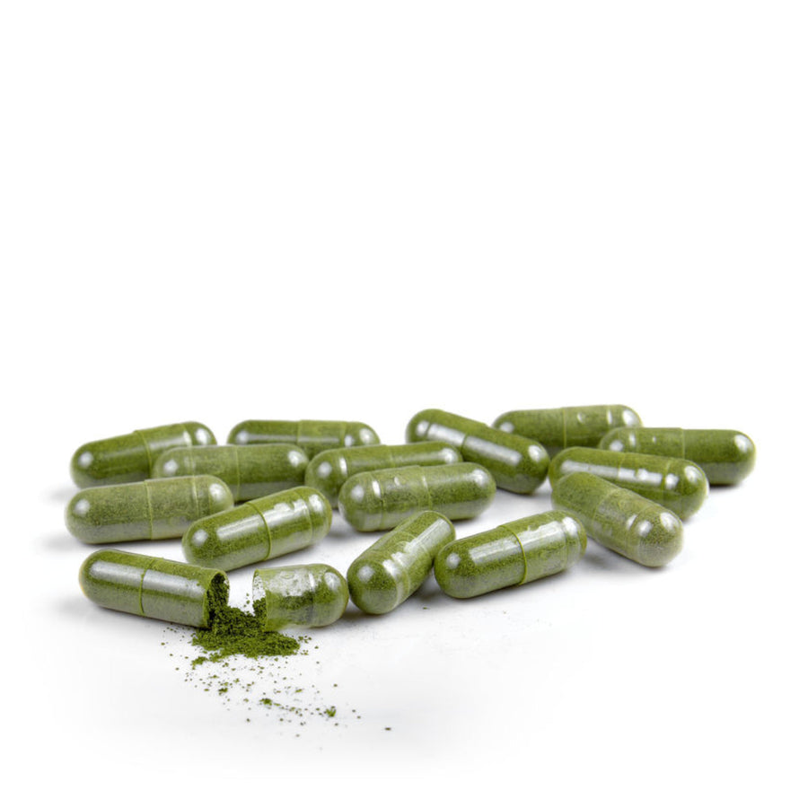 Lot de 5 x 120 Gélules de Sidr - 600 Gélules – produit naturel présenté par Natureluxy
