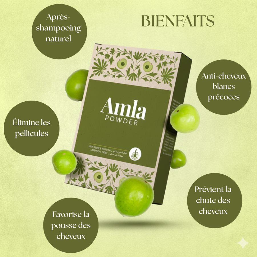 Poudre d’Amla pure 100 g – soin capillaire et visage