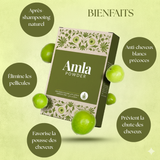 Poudre d'Amla 100% Pure et Naturelle (100g)