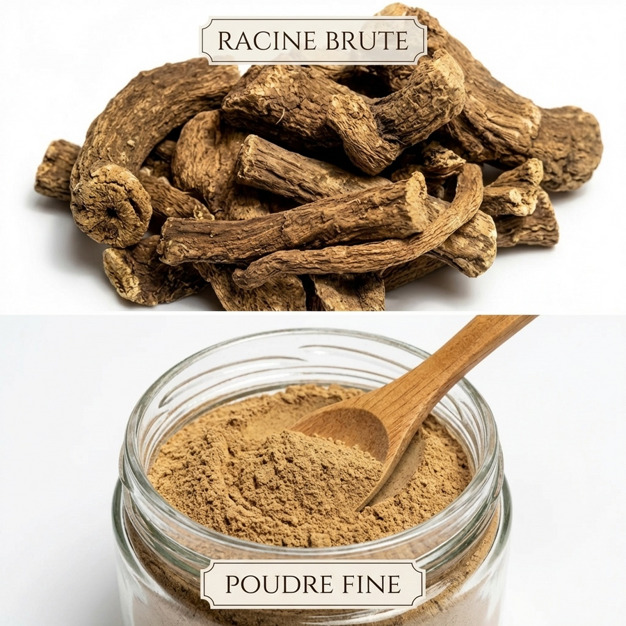 Costus Indien Brut 1 kg 100% Naturel – Racines entières – Usage interne (infusion/décoction) & externe – Format 1kg