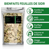 Feuilles de Sidr (Feuilles de Jujubier) naturelle 100g