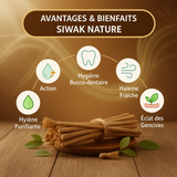Pack Hygiène Naturelle : 20 Siwak Arak + 5 Dentifrices Miswak Dabur Sans Fluor