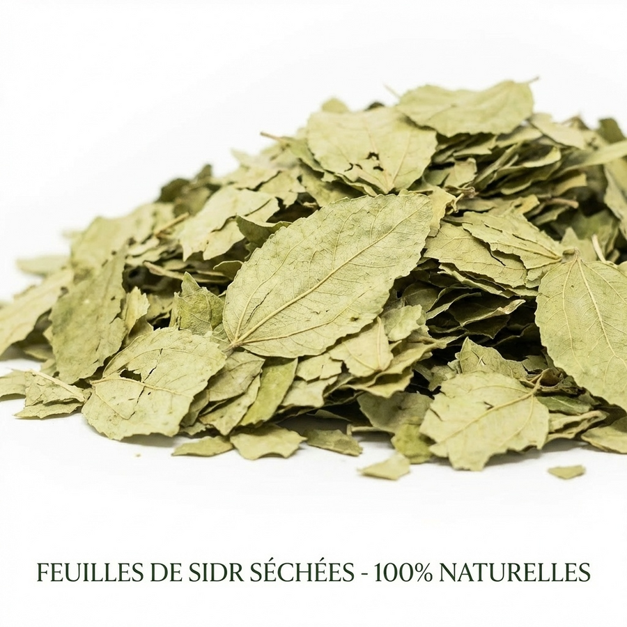 1kg Feuilles de Sidr  Naturelles - Feuilles de Jujubier - Natureluxy