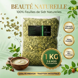 1kg Feuilles de Sidr  Naturelles - Feuilles de Jujubier - Natureluxy