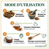 Costus Indien Brut 400g 100% Naturel