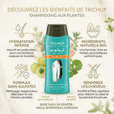 Lot de 3 Shampoings Trichup Anti-Chute Sans Sulfate Soin Indien 200 mL