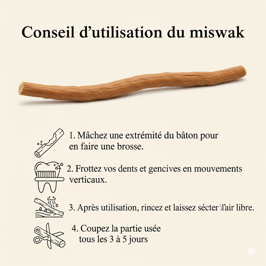 Siwak naturel miswak en situation d'utilisation – bâtonnet hygiène buccale