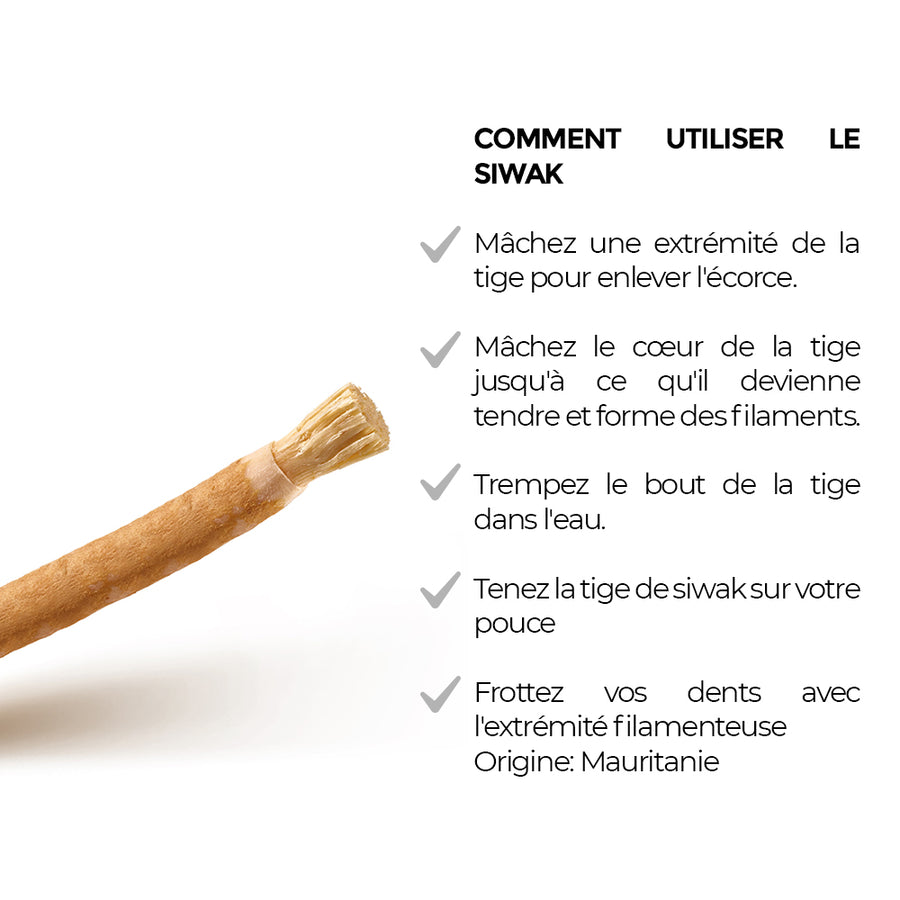 Lot 20 siwak brut packaging – miswak naturel nettoyage dents