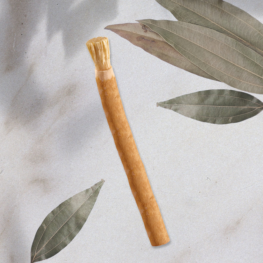 Lot 20 siwak nature brut – miswak bâtonnets hygiène buccale naturelle