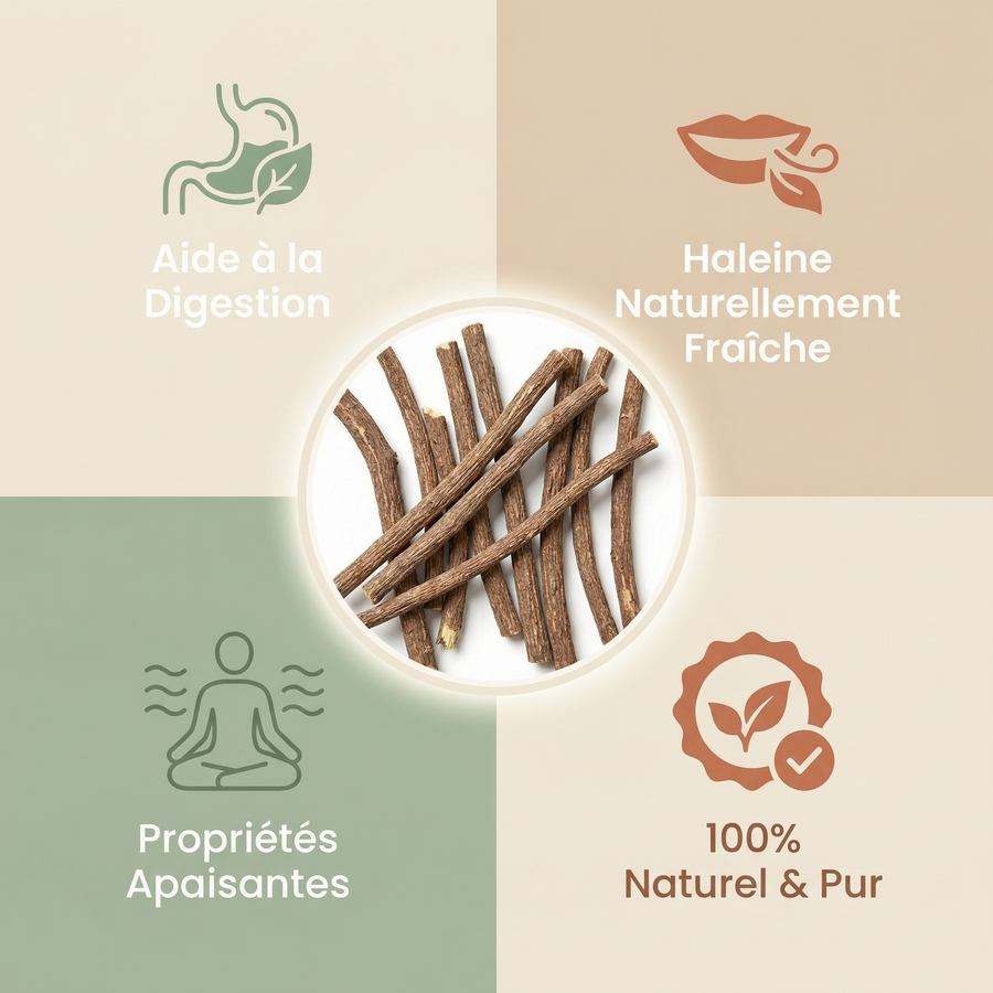 10 Bâtons de Réglisse — Format Pratique