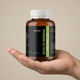 120 gélules de Moringa 100% végétales - 300mg
