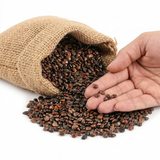 Graines de Nigelle d'Arabie - 60 g