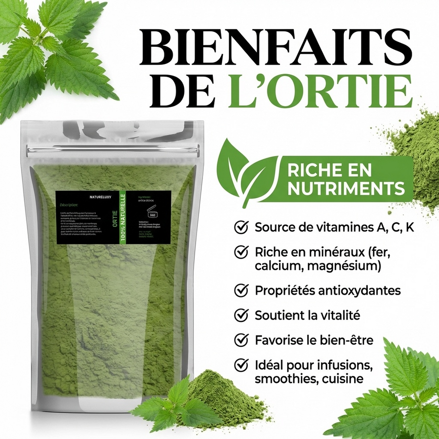 Poudre d’Ortie 1 kg - 100% Feuilles Moulues - Origine Maroc