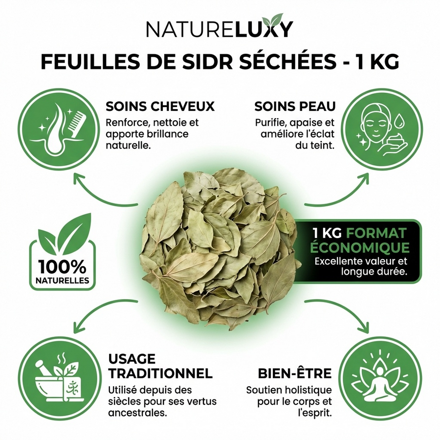20 kg natürliches Sidr-Blatt (Jujube).
