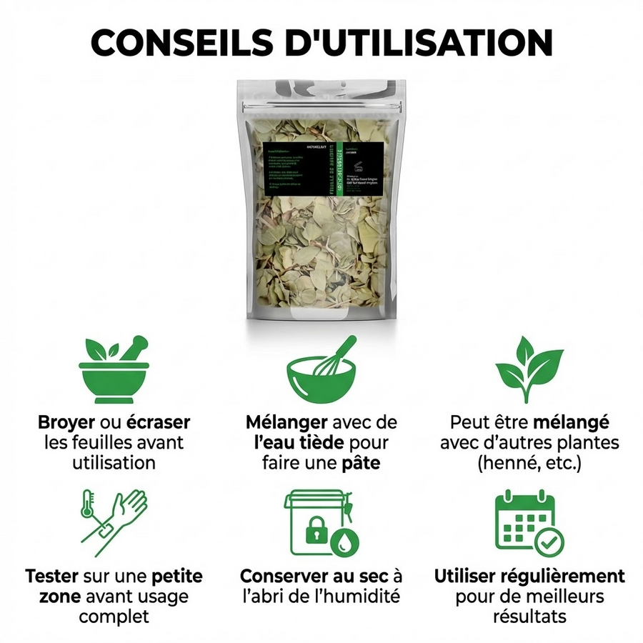 Feuilles de Sidr Naturelle 100g - Feuilles de Jujubier Séchées