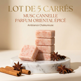 Lot de 5 carrés de musc cannelle – parfum solide