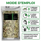 Feuilles de Sidr (Feuilles de Jujubier) naturelle 100g