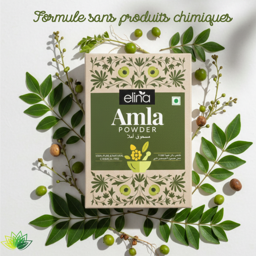 Poudre d’Amla pure 100 g – soin capillaire et visage