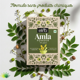 Poudre d'Amla 100% Pure et Naturelle (100g)