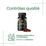 Capsules d’Huile de Nigelle d’Éthiopie – 60 capsules (500 mg) – Habachiya