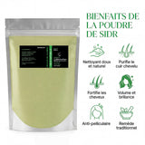 Sidr en Poudre NATURELUXY — 1 kg — 100% Naturel — Origine Maroc