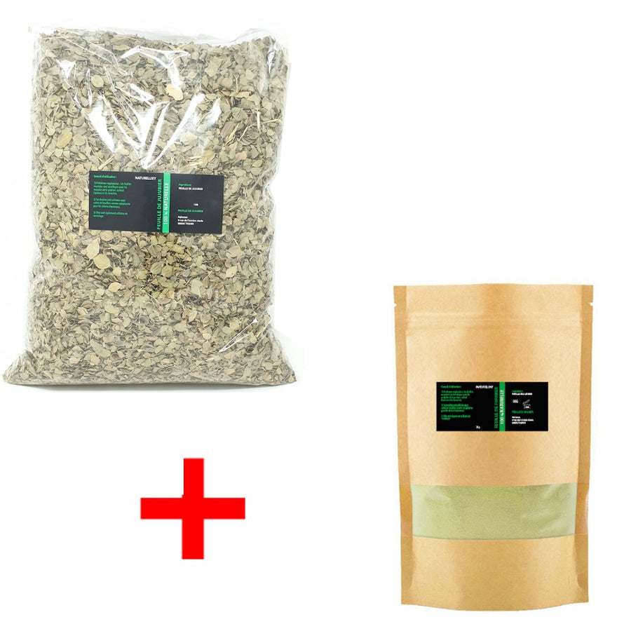 Pack Sidr 2 kg — Poudre + Feuilles de Jujubier – produit naturel présenté par Natureluxy