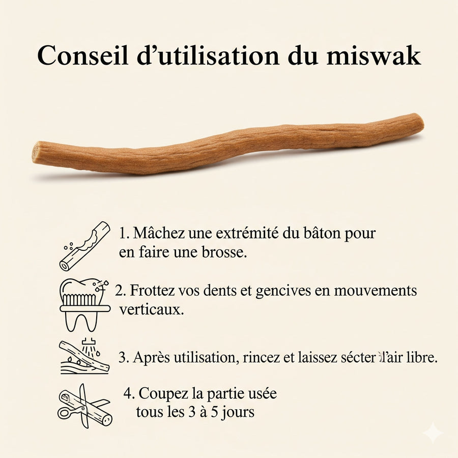 Siwak naturel miswak en situation d'utilisation – bâtonnet hygiène buccale