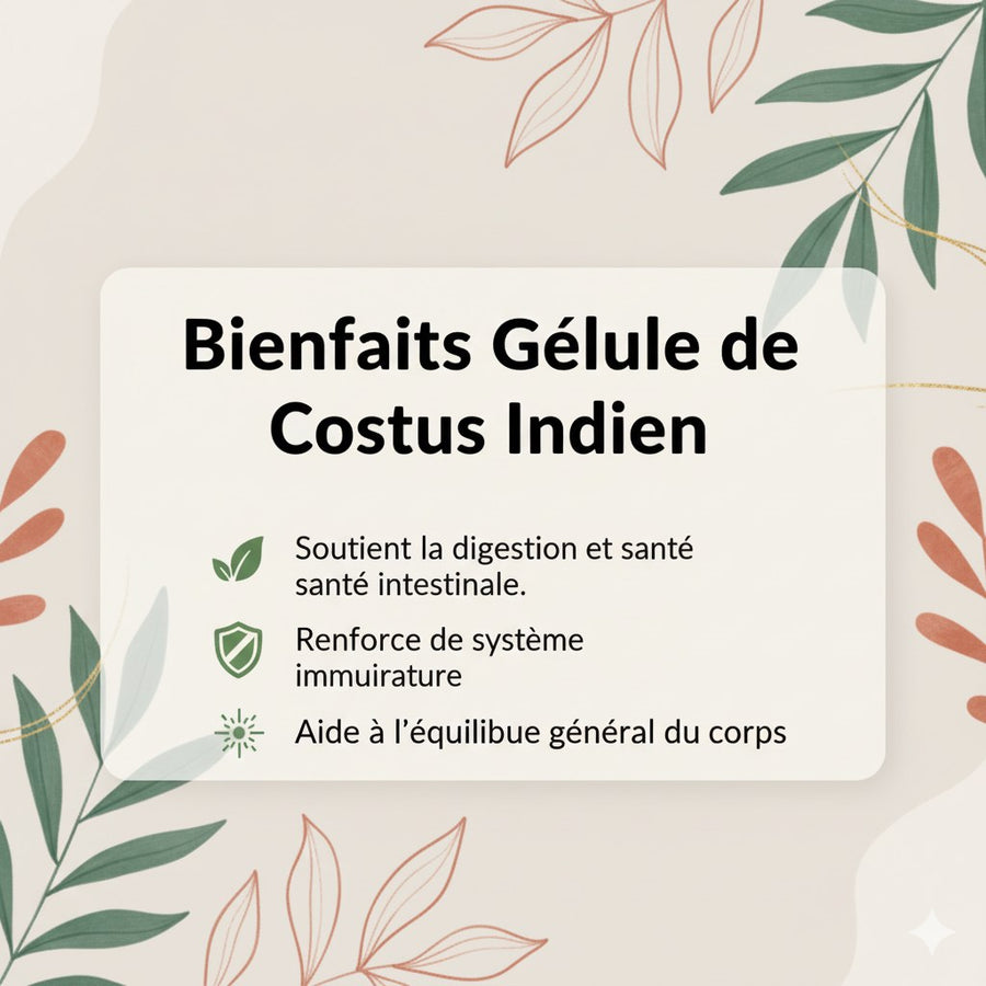 120 Gélules Costus Indien – Poudre de Saussurea costus – 300 mg – produit naturel présenté par Natureluxy