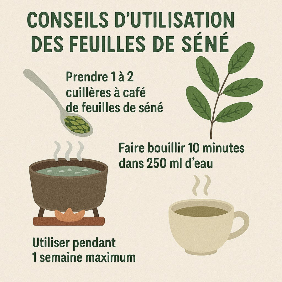 Feuilles de Séné Entières pour Infusion 1 kg – NATURELUXY – produit naturel présenté par Natureluxy