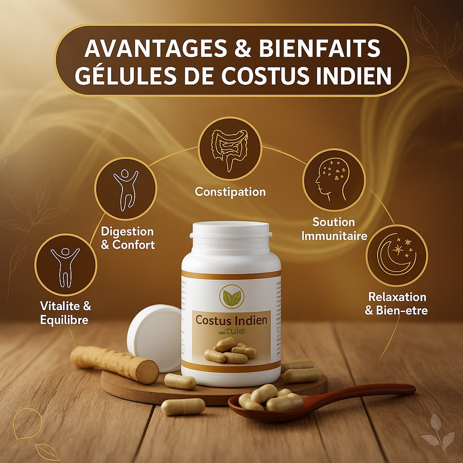 2X120 gélules de Costus Indien – produit naturel présenté par Natureluxy