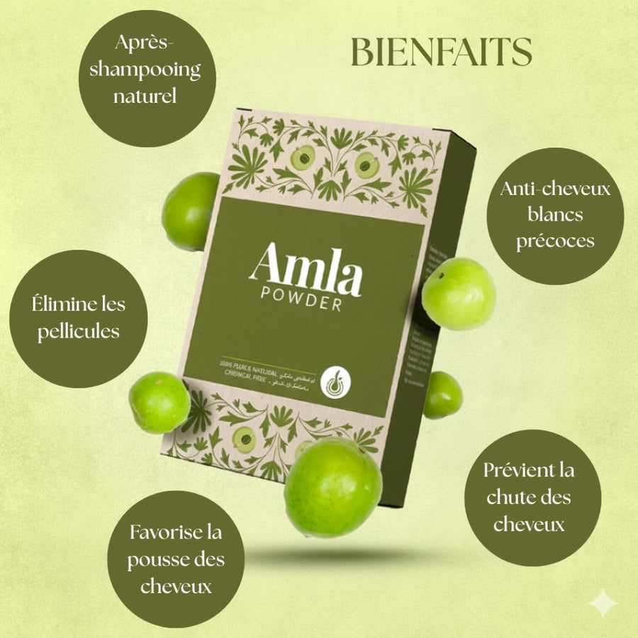 Poudre d’Amla pure 100 g – soin capillaire et visage – produit naturel présenté par Natureluxy
