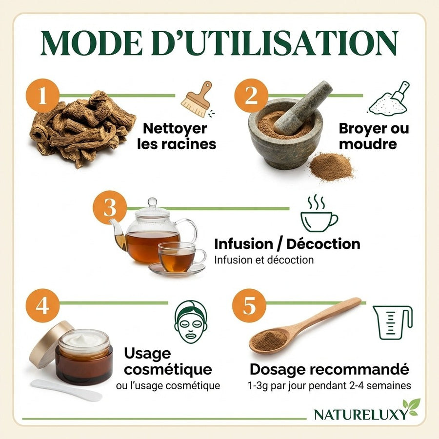 Costus Indien Brut 400 g 100% Naturel – Racines Entières – Natureluxy – produit naturel présenté par Natureluxy