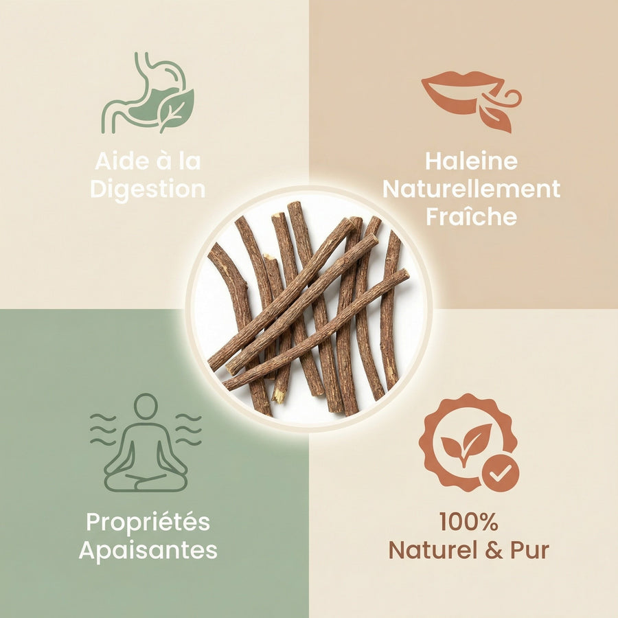 10 Bâtons de Réglisse — Format Pratique – produit naturel présenté par Natureluxy