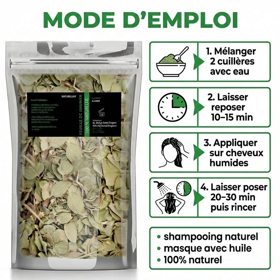 Feuilles de Sidr Naturelle 100g - Feuilles de Jujubier Séchées – produit naturel présenté par Natureluxy